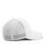 White/White 